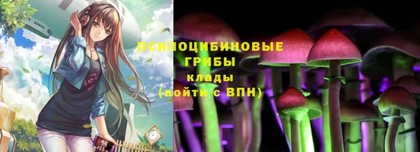 каннабис Алзамай
