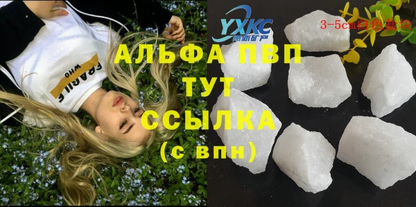 мет Алексин
